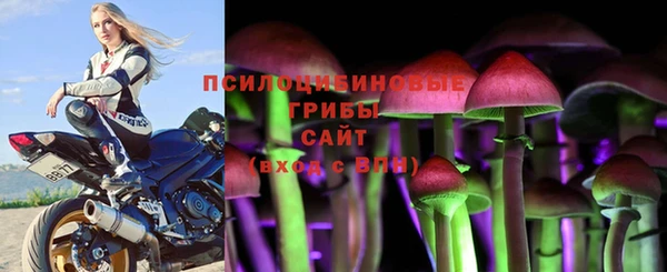кокс Баксан