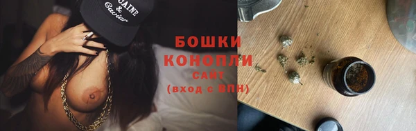 индика Балабаново