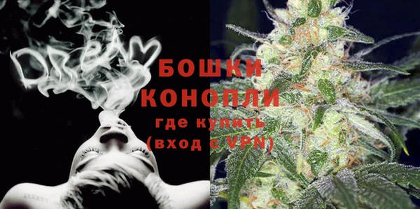 индика Балабаново