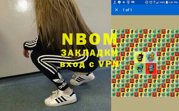 индика Балабаново