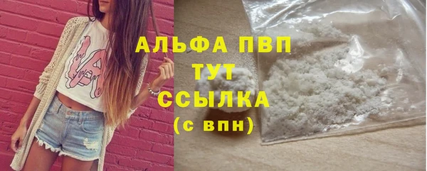 индика Балабаново