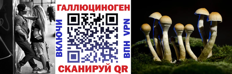 МЕГА сайт  Суздаль  маркетплейс какой сайт  купить наркотики цена  Галлюциногенные грибы MAGIC MUSHROOMS 